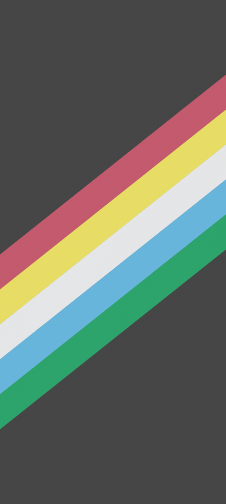 Disability Pride Flagge: Schwarzer Hintergrund mit Streifen in rot, gelb, weiß, blau und grün.